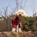 석촌근린공원 이미지