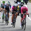 제이바인 이미지