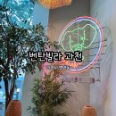 별양상가1로 | 쌀국수 맛집 휴양지 감성 뿜뿜 벤탄빌라 에서 파인애플 볶음밥 &amp; 짜조 &amp; 망고스틴 주스 먹고 온 후기 🍜🍍