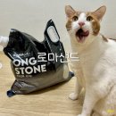 고양이 두 마리 집사도 만족한 탈취력+대용량 로마샌드 신제품 ‘옹스톤’ 혼합입자 사용 솔직후기