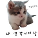 스타벅스 거제옥포DT점 이미지