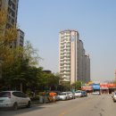 분당-203 이미지