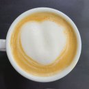 보태니컬 아트 / 강좌번호 22 이미지