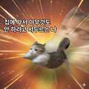 #14 야르한 후반부다 야르렁 일어나라