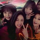 시사회비디오 이미지