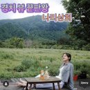 나리상회