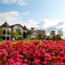 김해 정산 CC 이미지