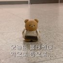 카츠닉