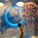 숲사랑홍보관 | 강릉 아이랑 가볼만한곳 -온빛포레스트, 빛으로 만나는 특별한 미디어아트