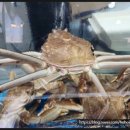 바다수산회직판장 이미지