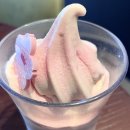 체리블라썸 | 폴바셋 할인 정보 체리블라썸 아이스크림 추천 후기 카페라떼 말차라떼 시식