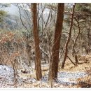 봉황산 입구 이미지