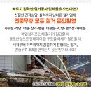 전영미산부인과 네이버블로그