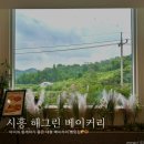 도척그린공원 족구장A | 시흥 아이랑 가기 좋은 : 해그린 베이커리 카페