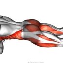 이승삼 스포츠센터 이미지