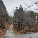 상북중앙로 이미지