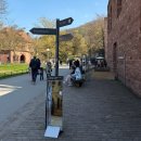 르네상스약국 | 하이델베르크] 독일 하이델베르크 성 투어 : 슈로스 정원과 성에서 바라본 도시 전경, 근처 식당 후기 _(2)