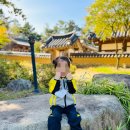 영남대학교자연박물관 이미지