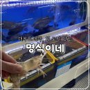 수협횟집식당회센타 | 인천 대부도 맛집, 대하, 회 포장 맛집 영흥도 영흥수협회센터 명식이네