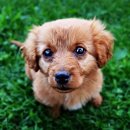 룰루랄라 이미지