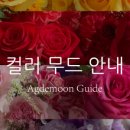 아그데문