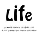 <체험기> 357일을 보내고 귀국하여... 이미지