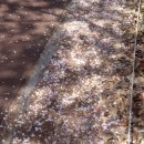 유화 민박 이미지