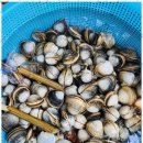 갯벌이야기펜션 이미지