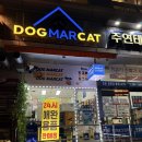 도그마캣군포