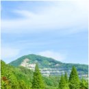 6월 가볼만한곳 논산 온빛자연휴양림