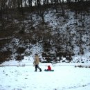 봉순펜션 이미지