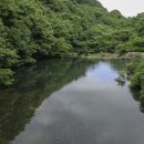 백향목숲휴양림 이미지