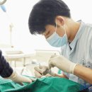서울임치과의원 이미지