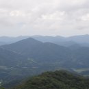 도림목장 Daum카페