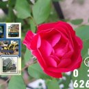 제일미니중기 이미지