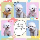 스튜디오루아스
