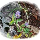 남산추어탕 이미지