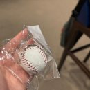 마산야구센터 마산체육관 1층 | 🏟 스포츠 도시 창원, 모두가 즐기는 액티브 창원! 창원 관광 서포터즈 초청 팸투어 후기