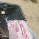 도영 농장 이미지