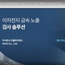 더블유지에스