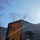 대전유마트 | [대전 여행] 만인산자연휴양림 네모집 굴피나무, 팽나무 후기, 예약방법, 준비물, 꿀팁