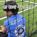 이노에프씨 | 울산 이노FC 유소년 축구교실 방문 후기