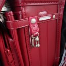 호야 달수 이미지