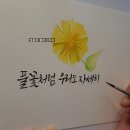 두 번 그린 고들빼기 꽃 수채화 캘리그라피, 달라진 건..