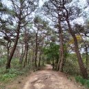 예향천리마실길 1코스 읍성성곽길 이미지