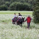 방산목장 이미지