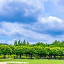 부천중앙공원 이미지