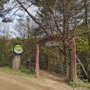 계곡수채화 | [오대산 선재길] 깨달음과 치유의 길에 자연이 그려 낸 단풍 수채화