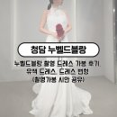 블랑드블랑 | w9 :: 드레스 - 누벨드블랑 촬영 드레스 가봉 후기, 유색 드레스, 드레스 변형 종류 (촬영가봉 시안 공유)