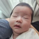연천재인폭포 | 경기 연천 여름에 가기 좋은 명승지 재인폭포